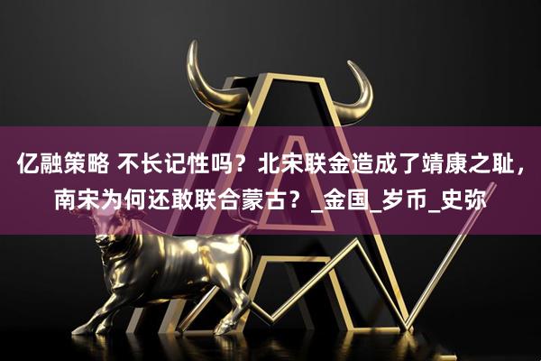 亿融策略 不长记性吗？北宋联金造成了靖康之耻，南宋为何还敢联合蒙古？_金国_岁币_史弥