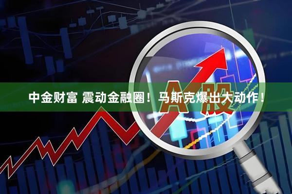 中金财富 震动金融圈！马斯克爆出大动作！
